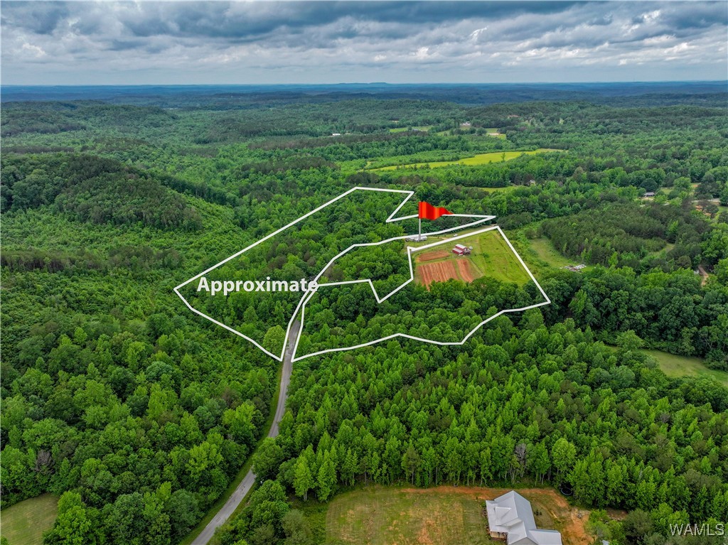 531 County Rd 125, Berry, Alabama image 43