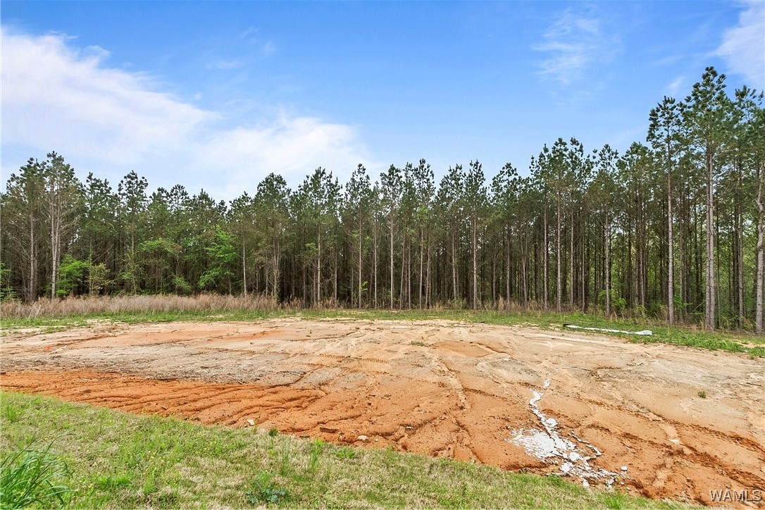 19488 Mormon Rd, North Port, Alabama image 37