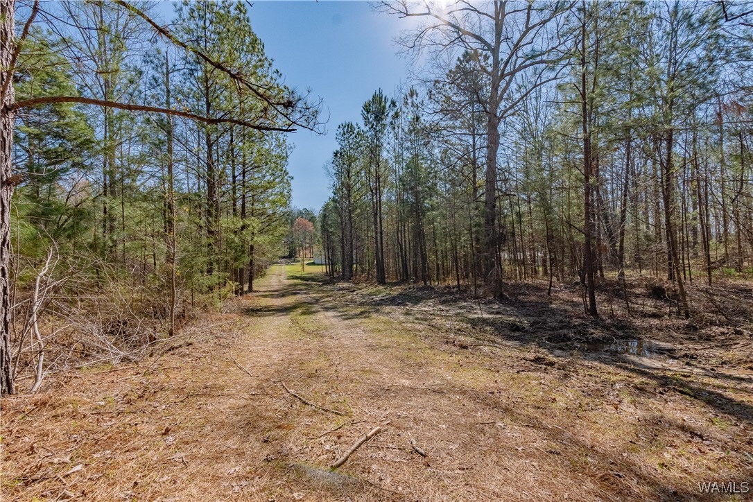 16550 Pine Ridge Dr Dr, North Port, Alabama image 31