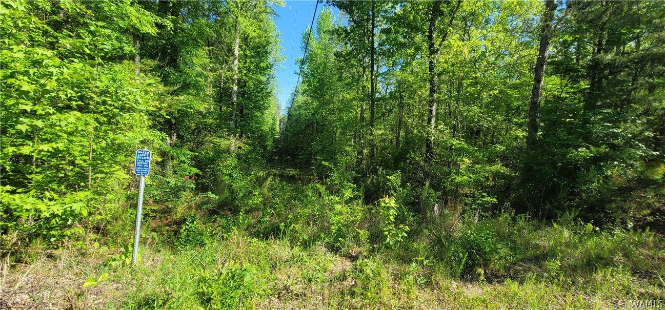 Photo 1 of 7 — 0 Hwy 69 N Highway, Northport, AL 35475
