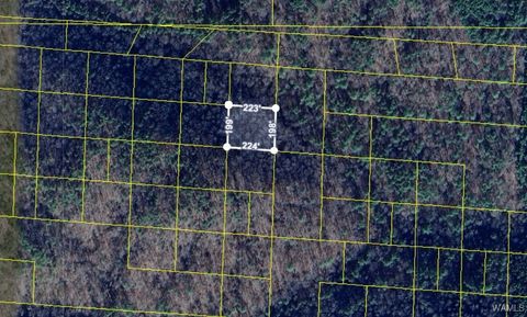 0 Handley Road Berry AL 35546