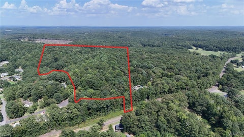 Vacant Land For Sale - Clements Road<br/> Tuscaloosa County, Cottondale, AL 35453