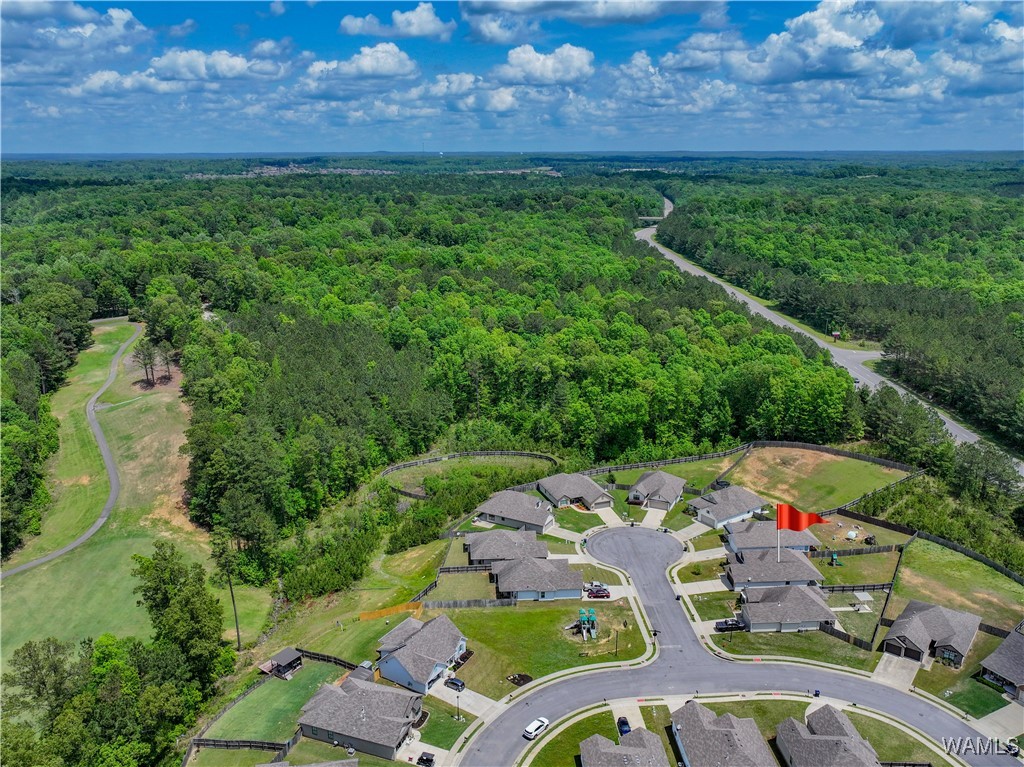 13024 Brookview Way, North Port, Alabama image 11