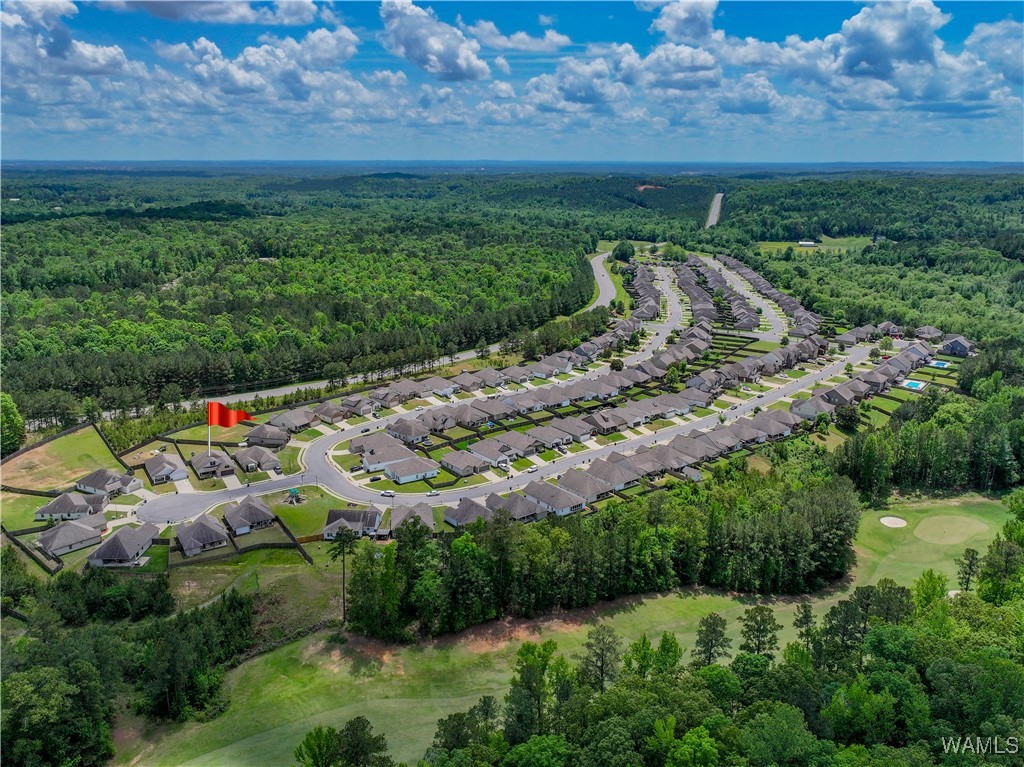 13024 Brookview Way, North Port, Alabama image 12