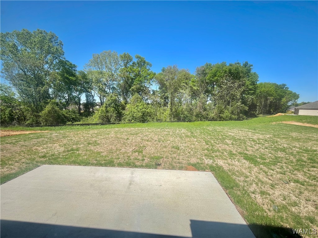 14405 Old Greensboro Road, Tuscaloosa, Alabama image 23
