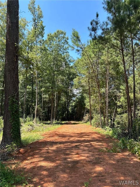 Vacant Land For Sale - 193 6th Street Ne<br/> Reform, AL 35481