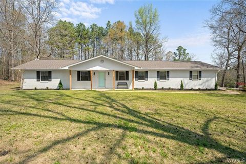 Homes For Sale - 13021 Northside Road<br/> North Port, AL 35475