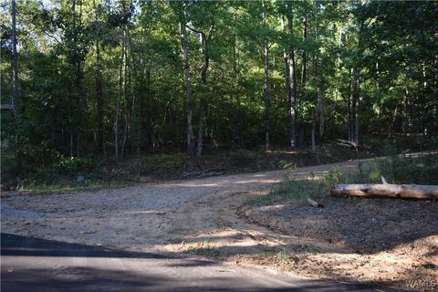 Vacant Land For Sale - 000 Cary Drive<br/> Tuscaloosa County, McCalla, AL 35111