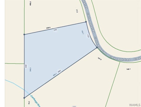 Vacant Land For Sale - 00 Cracker Asphalt Road<br/> Moundville, AL 35474