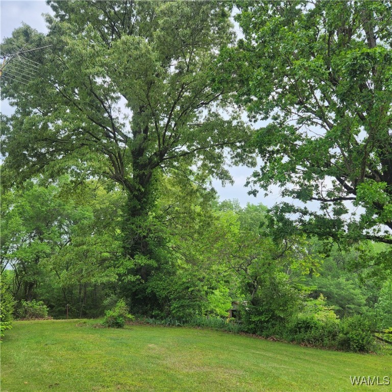 16581 Highway 171, North Port, Alabama image 30
