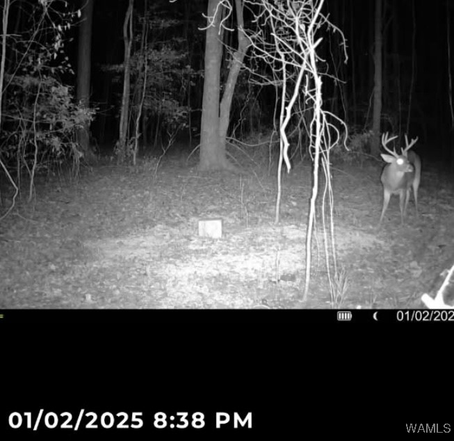 Robertson Road, Elrod, Alabama image 24