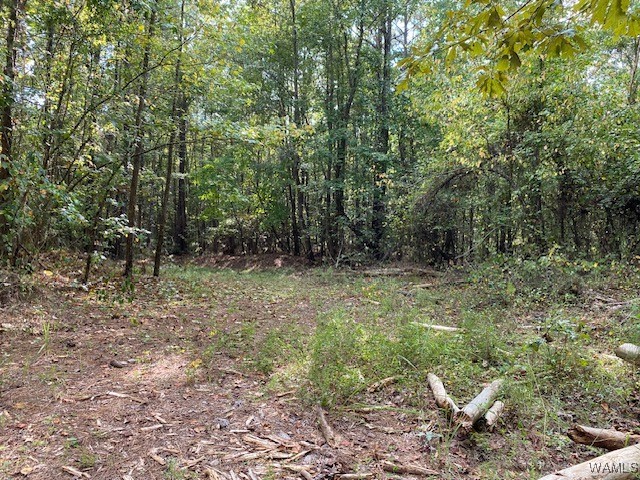 Robertson Road, Elrod, Alabama image 7