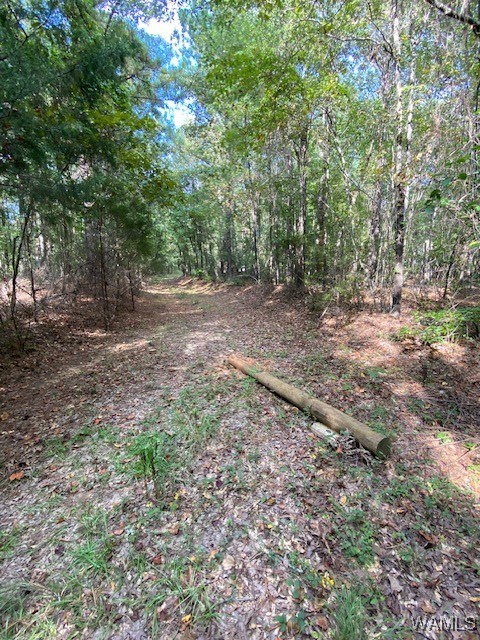 Robertson Road, Elrod, Alabama image 30