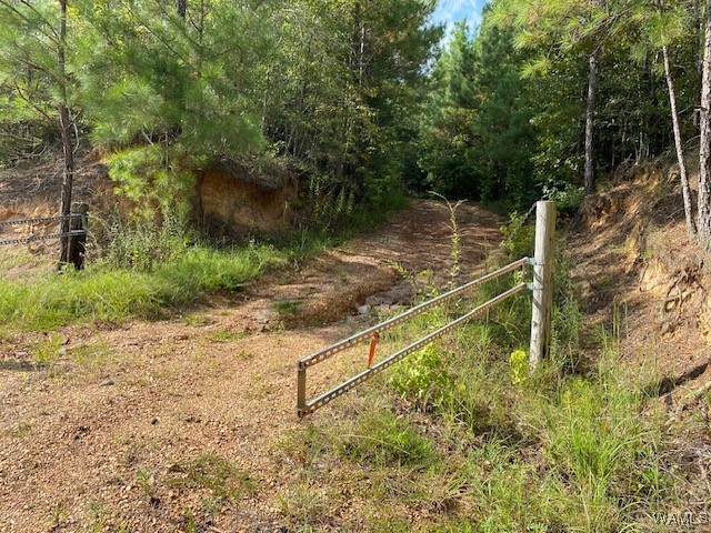 Robertson Road, Elrod, Alabama image 36