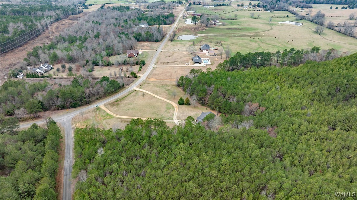 1152 County Road 56, Berry, Alabama image 39