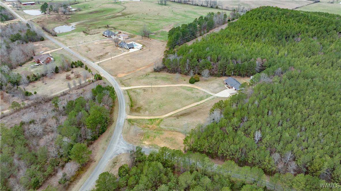 1152 County Road 56, Berry, Alabama image 40