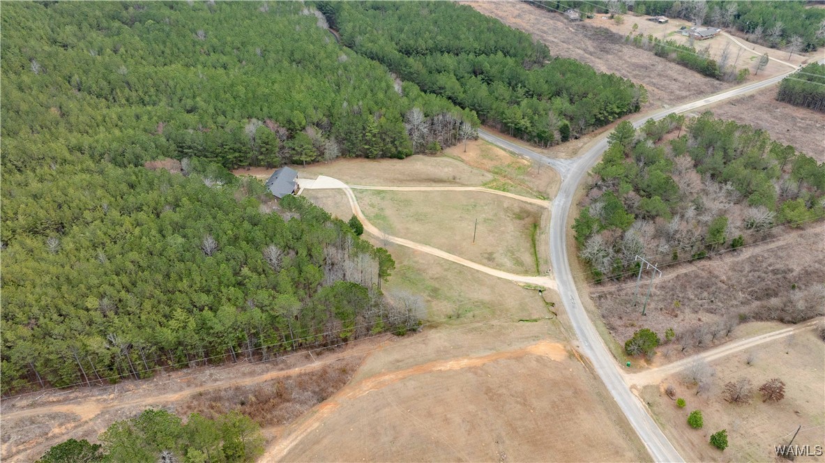 1152 County Road 56, Berry, Alabama image 35