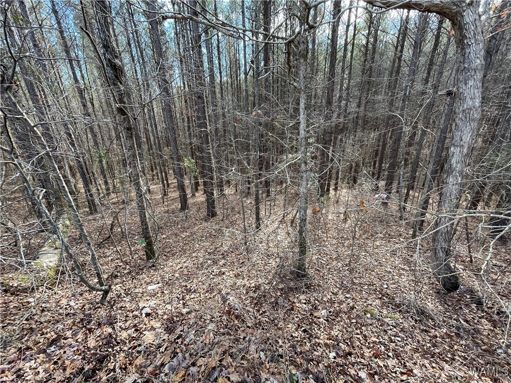16717 Graham Road, Berry, Alabama image 2