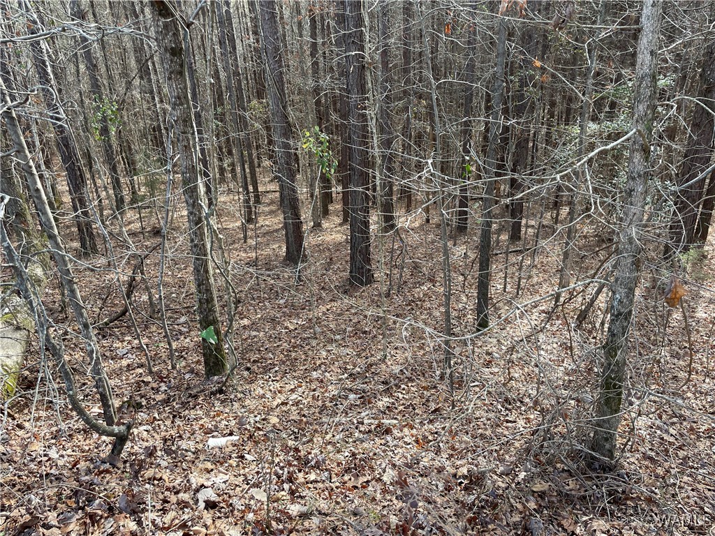 16717 Graham Road, Berry, Alabama image 4