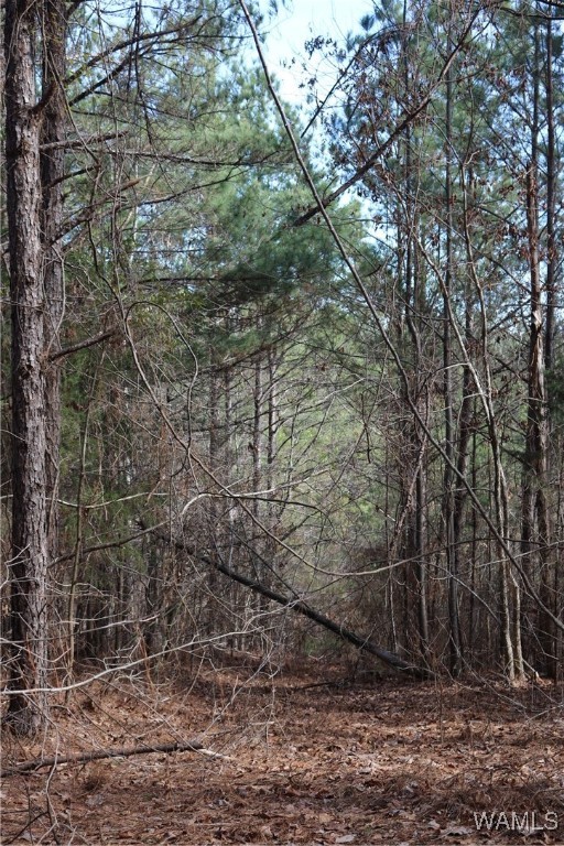 16717 Graham Road, Berry, Alabama image 3