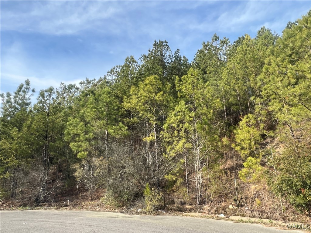 Stone Ridge Pkwy, Brookwood, Alabama image 3