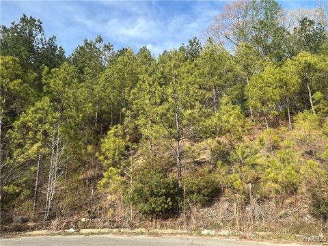 Vacant Land For Sale - Stone Ridge Pkwy<br/> Brookwood, AL 35444
