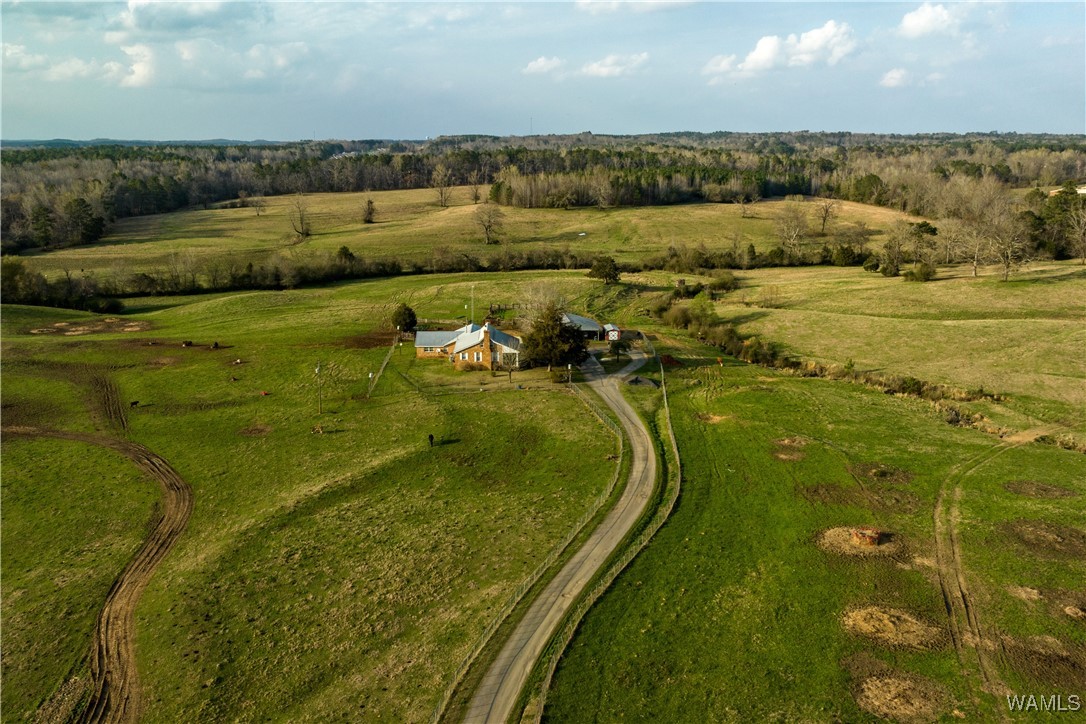 13205 Northside Road, Berry, Alabama image 4