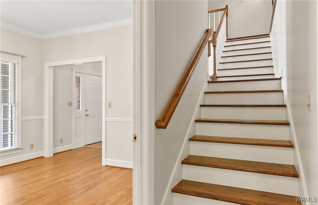 11242 Woodbank Drive, Tuscaloosa, Alabama image 14