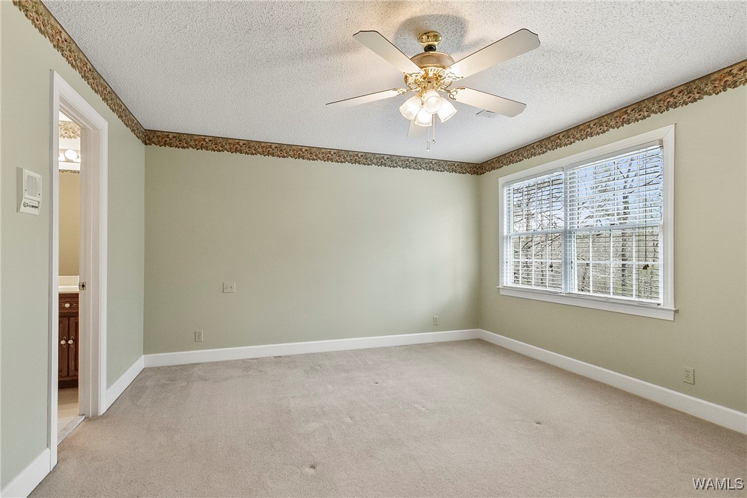 11242 Woodbank Drive, Tuscaloosa, Alabama image 33