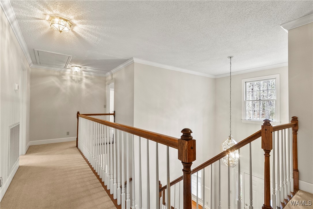11242 Woodbank Drive, Tuscaloosa, Alabama image 32