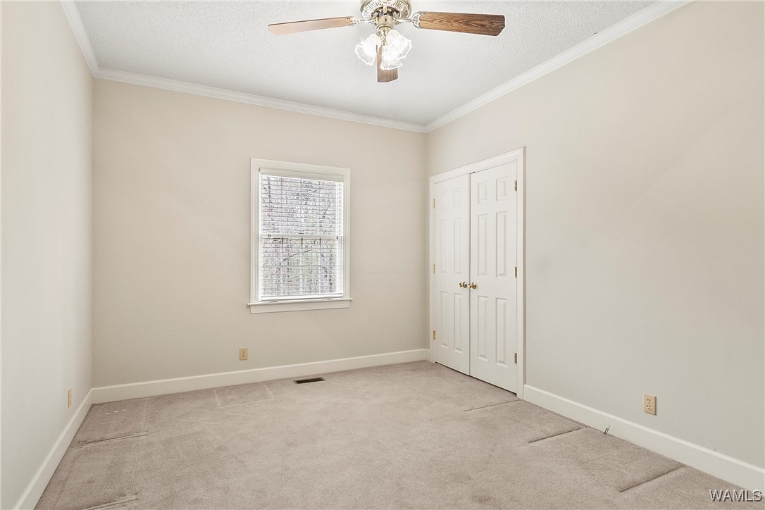 11242 Woodbank Drive, Tuscaloosa, Alabama image 17