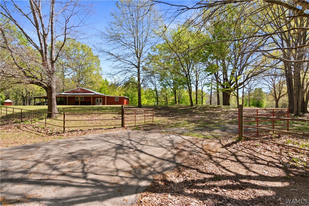 13710 Riverbend Road, Moundville, Alabama image 11