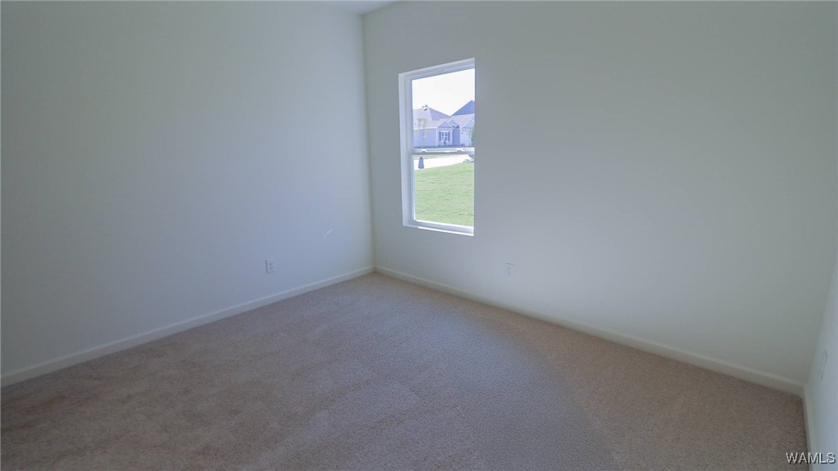 9361 Havenridge Loop, Tuscaloosa, Alabama image 28