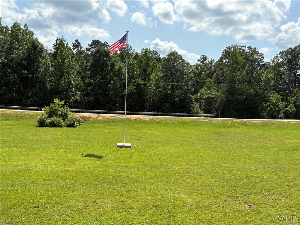 11783 Holt Lock And Dam Road, Cottondale, Alabama image 29