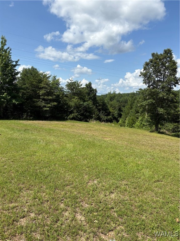 11783 Holt Lock And Dam Road, Cottondale, Alabama image 20