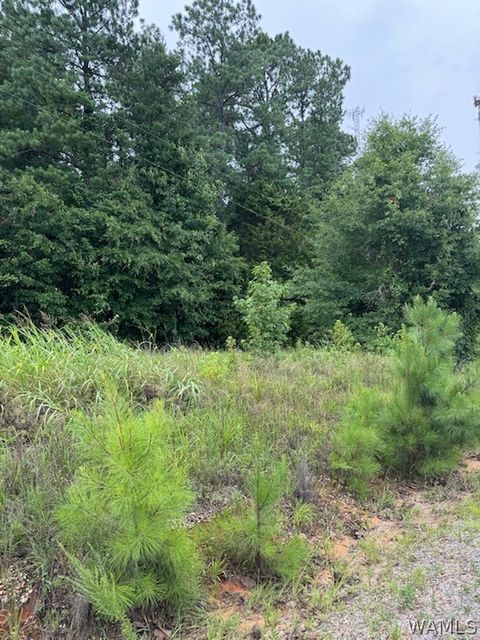 Vacant Land For Sale - 10452 N Davis Road Rd<br/> Cottondale, AL 35453