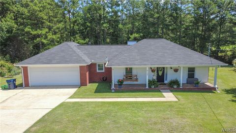 Homes For Sale - 6127 Hibiscus Lane<br/> Tuscaloosa County, North Port, AL 35473