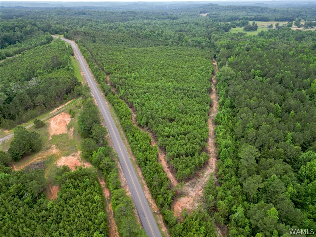 Lot 8 John Swindle Road, North Port, Alabama image 17