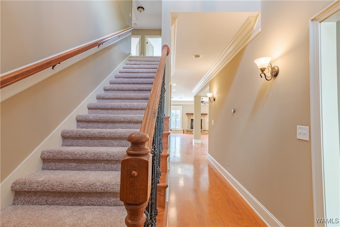 4101 Evangeline Way, Tuscaloosa, Alabama image 8