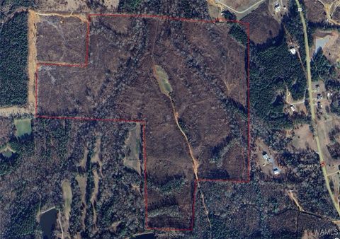 Vacant Land For Sale - Gorgas Road<br/> Berry, AL 35546