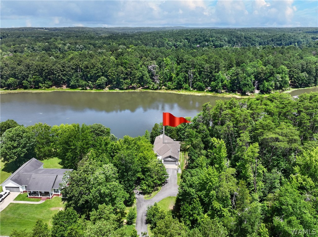 Photo 1 of 75 — 16860 NORTH RIVER Shores, Northport, AL 35475