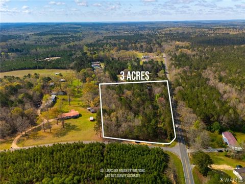 Vacant Land For Sale - Benevola Road<br/> Gordo, AL 35466