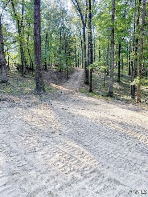 0 Frank Lary Road Northport AL 35475