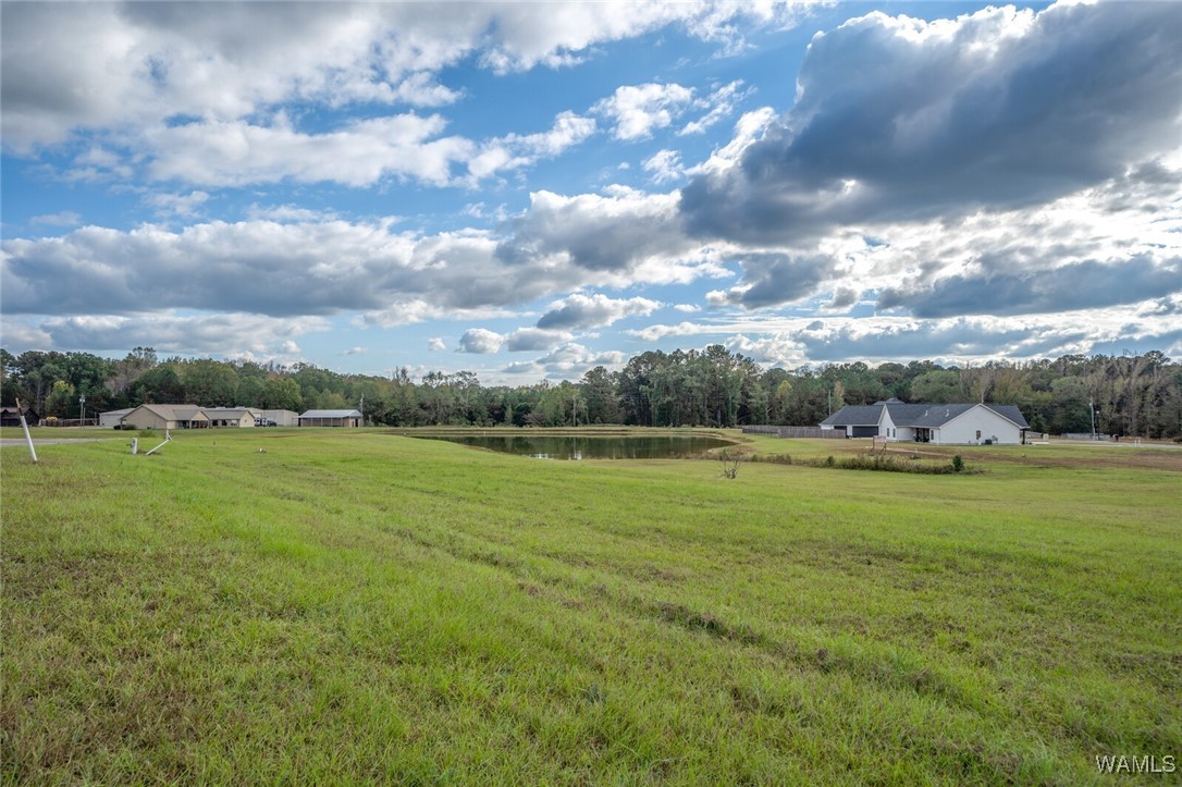 13724 Rbs Drive, Duncanville, Alabama image 3