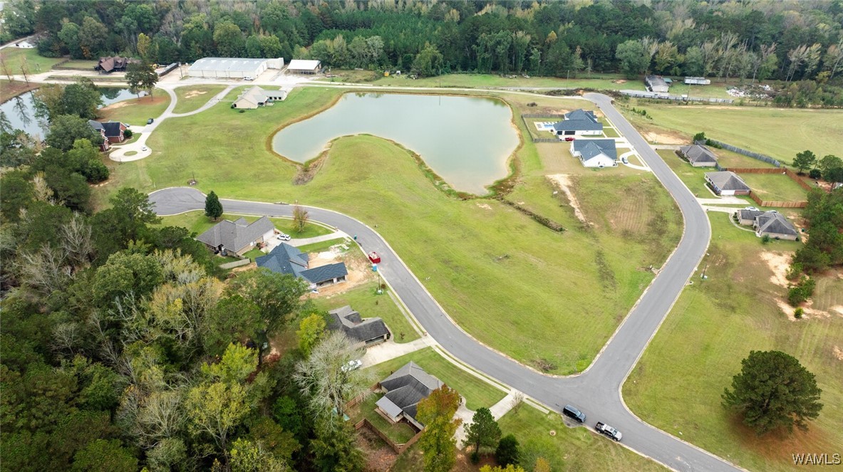 13724 Rbs Drive, Duncanville, Alabama image 39