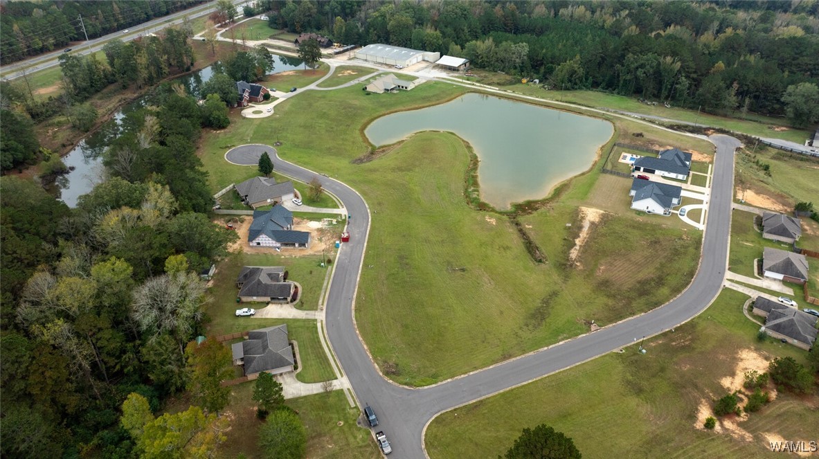13724 Rbs Drive, Duncanville, Alabama image 38
