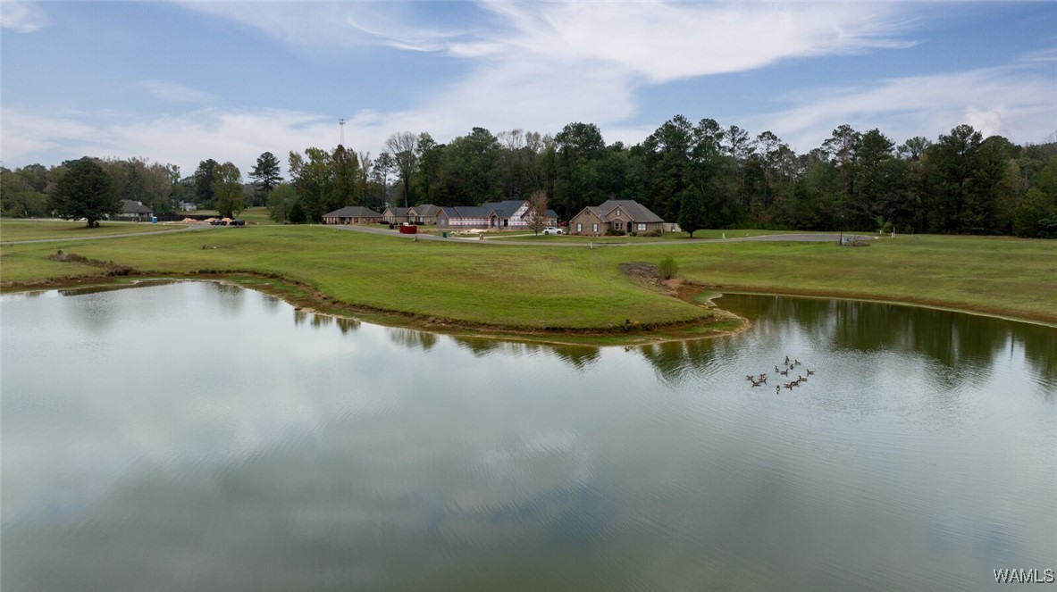 13724 Rbs Drive, Duncanville, Alabama image 2