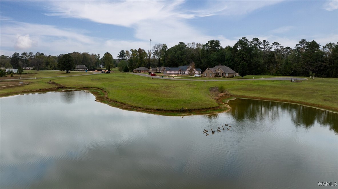 13724 Rbs Drive, Duncanville, Alabama image 36
