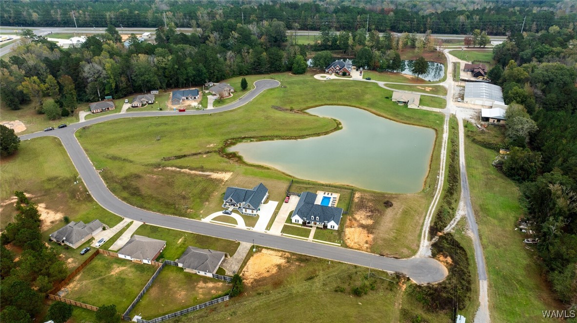 13724 Rbs Drive, Duncanville, Alabama image 37