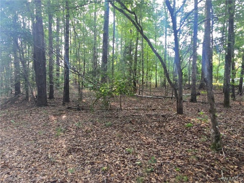 Vacant Land For Sale - Union Road<br/> Vance, AL 35490